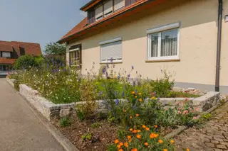 referenzen/vorgarten-hochbeete-staudenpflanzung/01