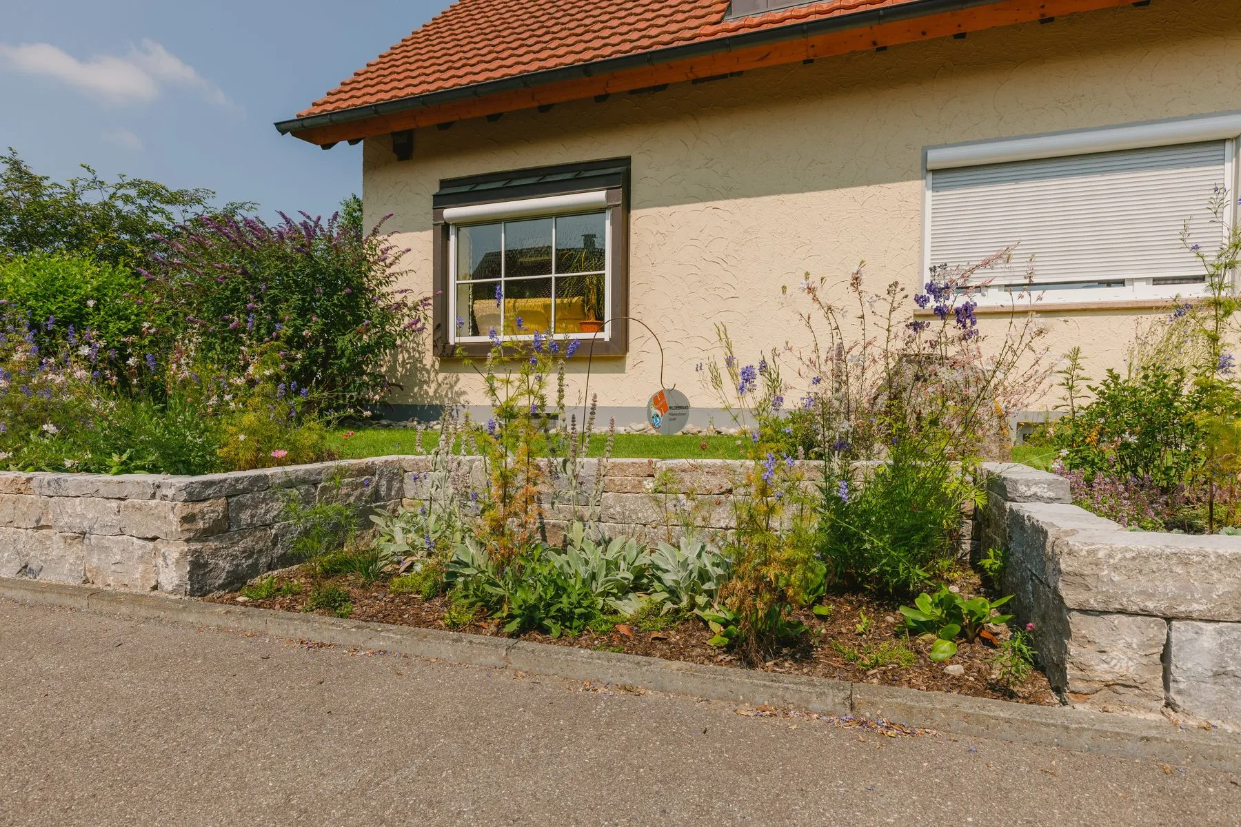 Vorgarten mit Hochbeeten und Staudenpflanzung – Foto 3 von 14
