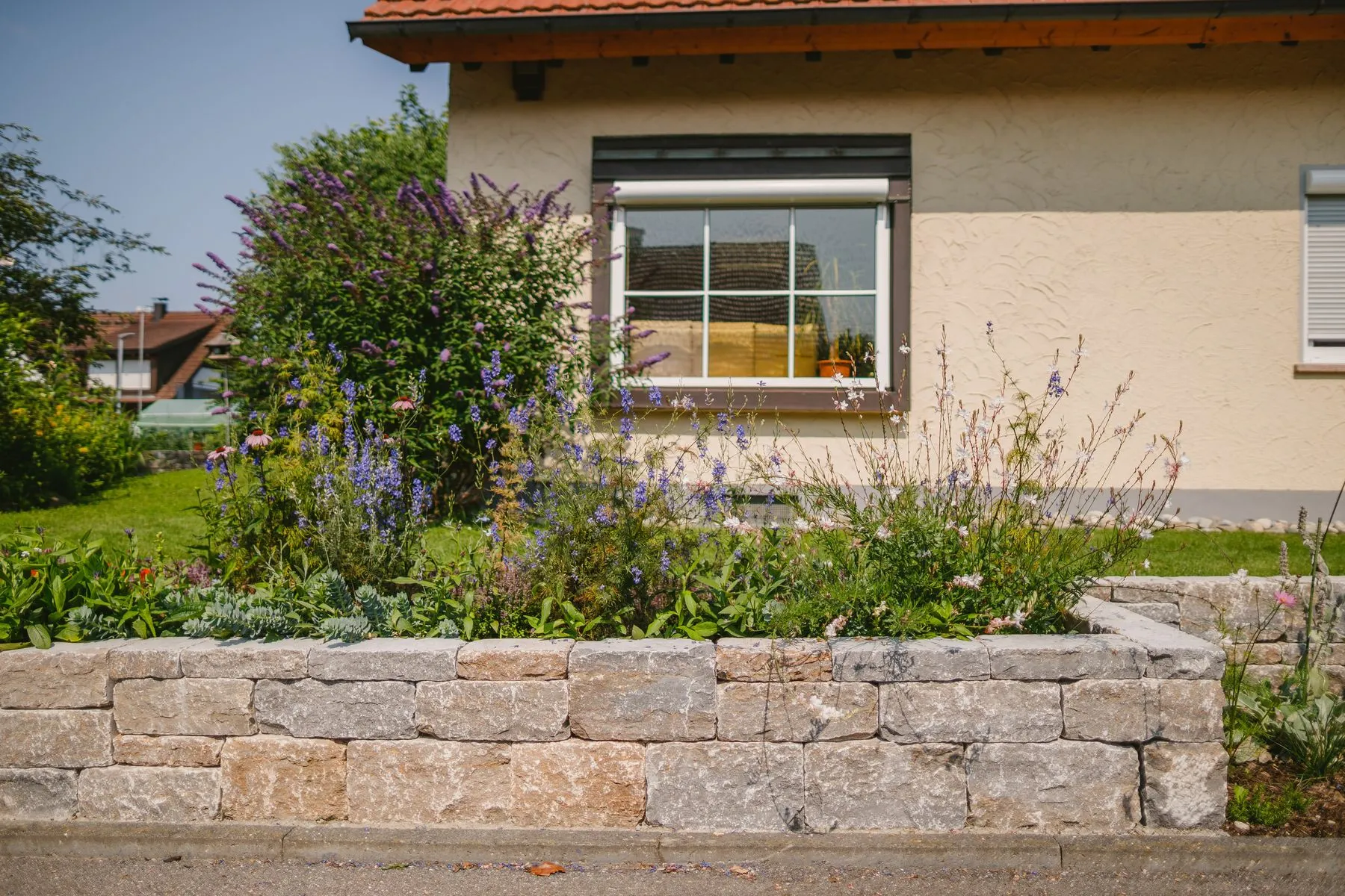 Vorgarten mit Hochbeeten und Staudenpflanzung – Foto 7 von 14